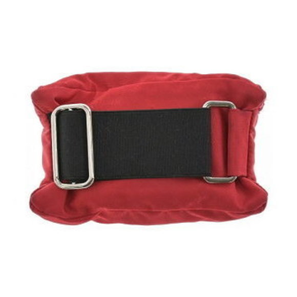 Prada Pouch - Picture 1 of 9